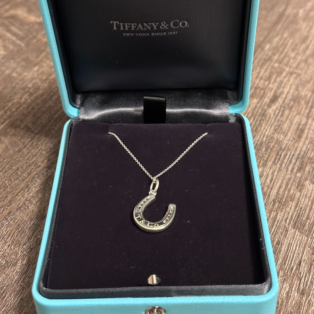 DISCONTINUED T&CO. horseshoe Charm and chain